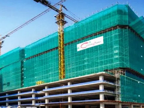 Luật sư nói gì về yêu cầu triệu tập đại hội bất thường của Kusto, đòi ban lãnh đạo Coteccons từ chức?